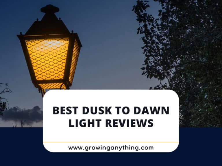 Best Dusk to Dawn Lights