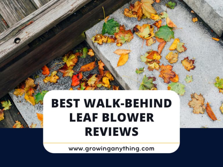 Best Walk Behind Leaf Blowers