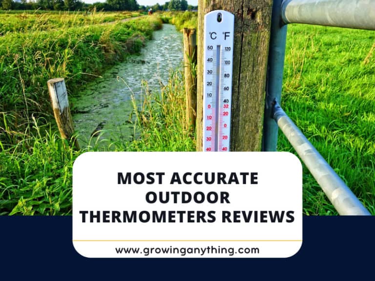 Most Accurate Outdoor Thermometers