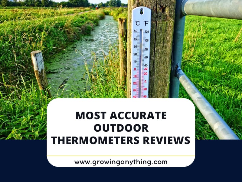 Top 15 Most Accurate Outdoor Thermometers To Buy 2024