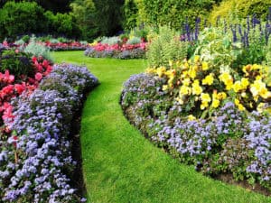 How to Make A Flower Bed? The Complete Guide 2024