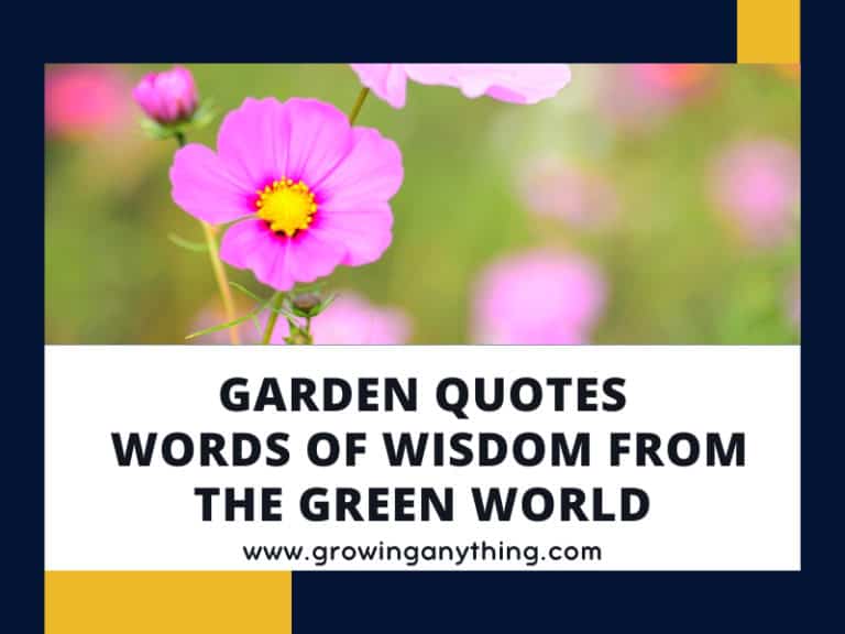 Garden Quotes