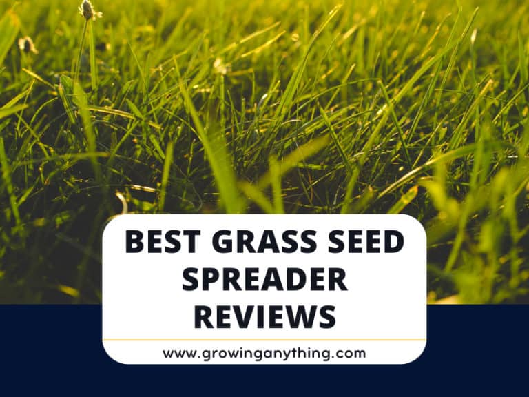 Best Grass Seed Spreaders