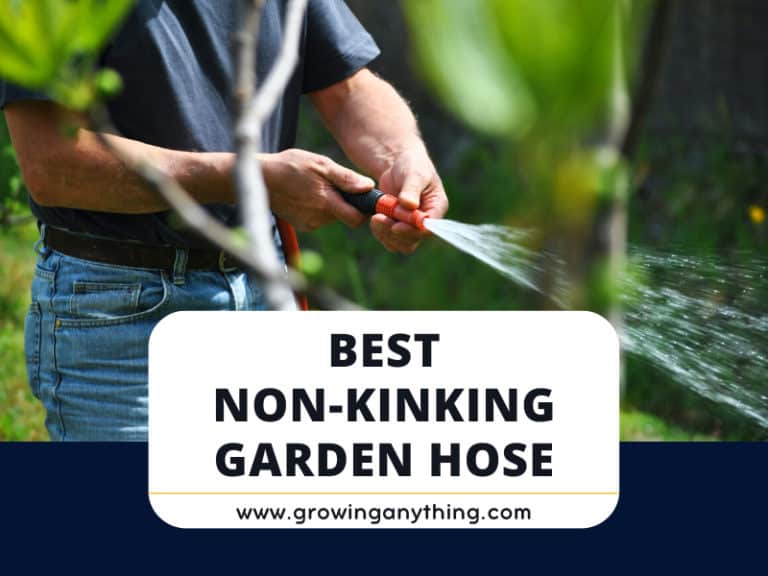 Best Non Kinking Garden Hose