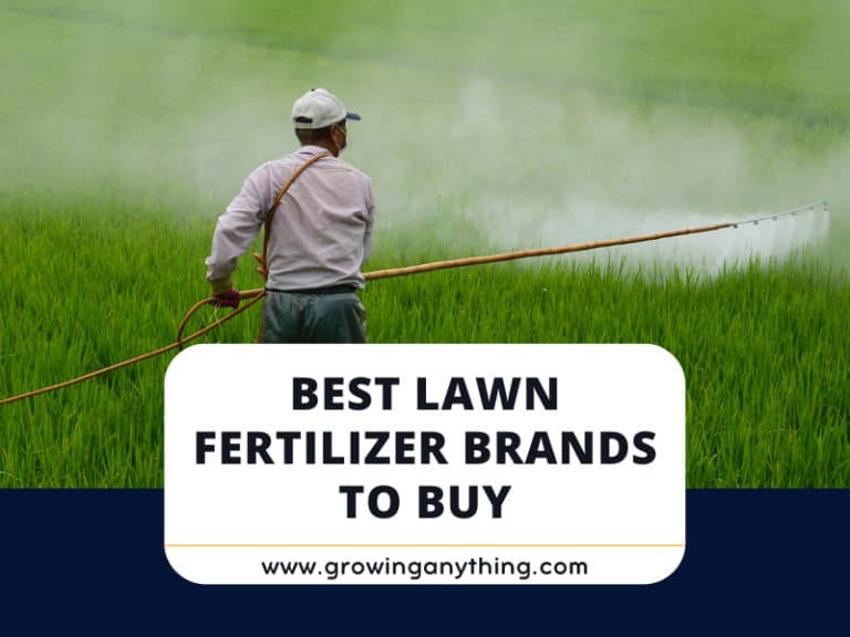 Best Lawn Fertilizer Brands