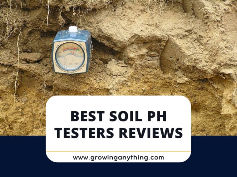 Best Soil Ph Testers