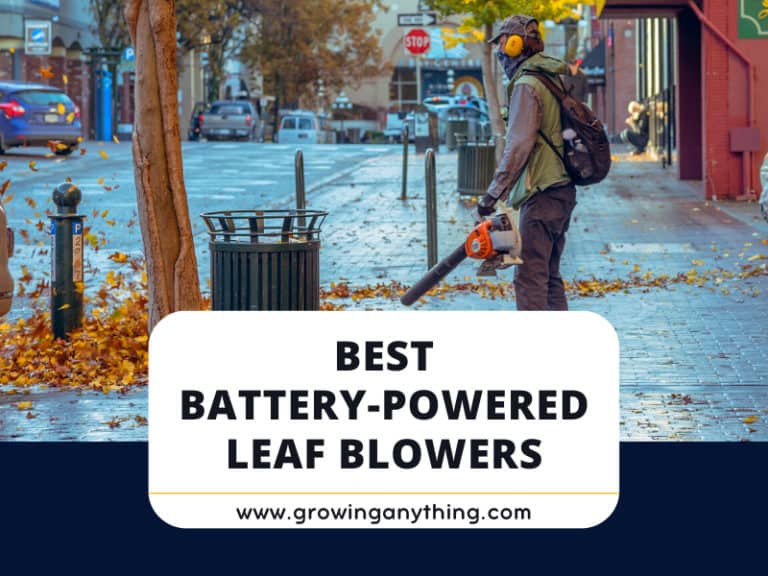 Best Battery Powered Leaf Blowers