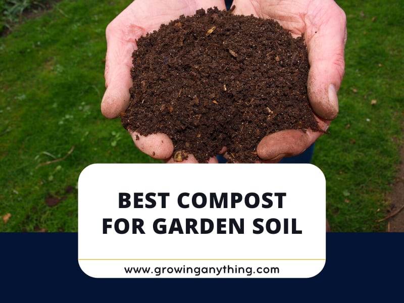 Top 15 Best Compost For Garden Soil Reviews 2024