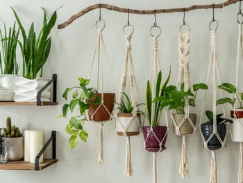 52 Creative Ways To Hang Your Plants In A Beautiful Way 2024