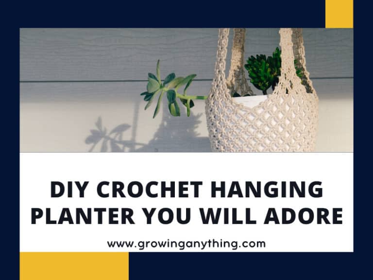 Diy Crochet Hanging Planters