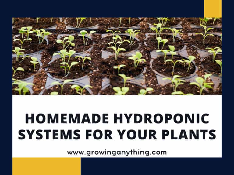 Homemade Hydroponic Systems