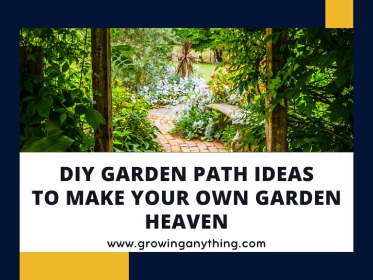 Diy Garden Path Ideas