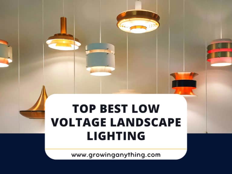 Best Low Voltage Landscape Lighting