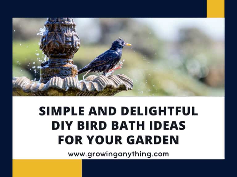 Diy Bird Bath Ideas