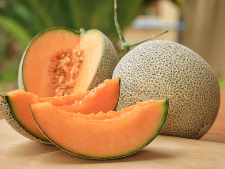 muskmelon-vs-cantaloupe-what-is-the-difference-which-one-is-better