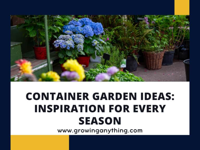 Container Garden Ideas