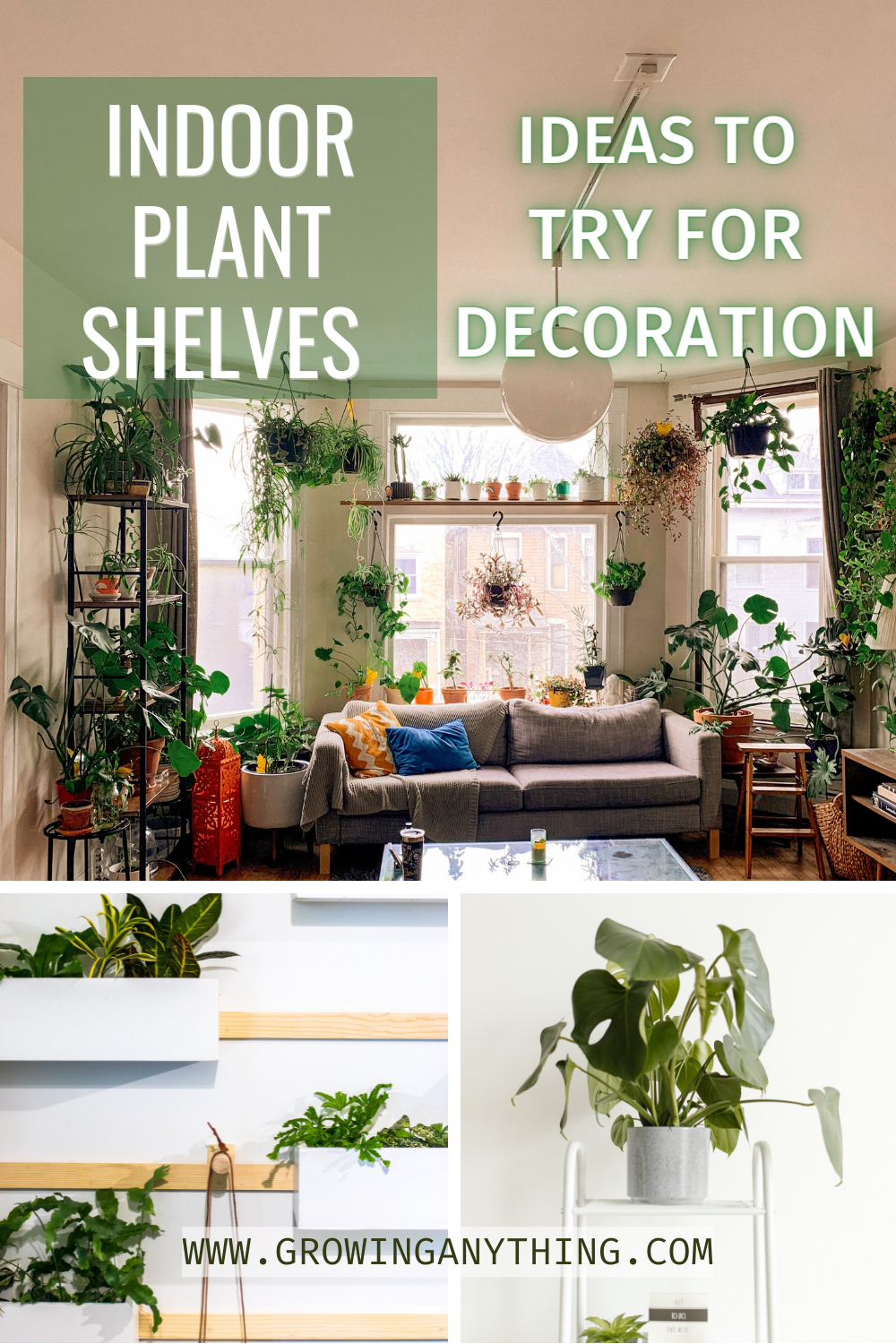 23 Indoor Plant Shelves Ideas To Try For Decoration 2024