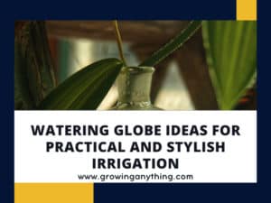 Watering Globe Ideas